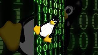 Até Sua Vó Pode Usar Linux linuxoperatingsystem linuxbonito archlinux windows linux mint [upl. by Anitak]