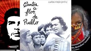 Carlos Mejía Godoy Cantos a flor de pueblo 1973 Disco completo [upl. by Nylime958]