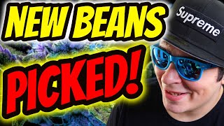 TRY These NEW Beans I Picked Out For Next Organic Grow [upl. by Oaoj]