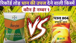 रिकॉर्ड तोड धान की उपज देने वाली किस्में  arize 6444 gold Vs pan 804 jamuna  seed of paddy [upl. by Annait]