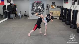 Krav Maga Alliance Curriculum Levels 15 in under 10 Minutes [upl. by Eaneg83]