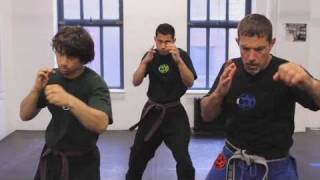 How to Do a Straight Punch Combination  Krav Maga [upl. by Notyap]