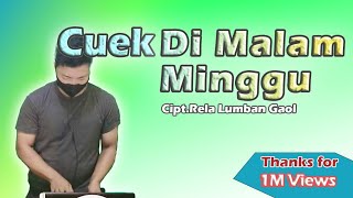 CUEK DIMALAM MINGGU DJ BATAK  Official remix by Wanrifal Sinurat [upl. by Ylro389]