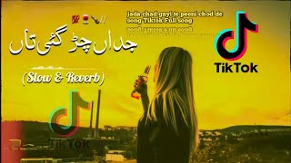 jada chad gayi te peeni chod de song Tiktok Full song imtiazvlogs2330 [upl. by Melania]