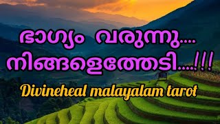 ഭാഗ്യം വരുന്നു സമയം മാറുന്നുDivineheal Malayalam tarots 🪷😇🧿💖 [upl. by Debor989]