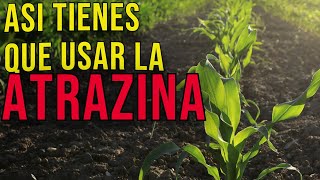 Herbicida para el cultivo de MAIZ CARACTERISTICAS MODO DE ACCION DOSIFICACION ATRAZINA [upl. by Josy250]