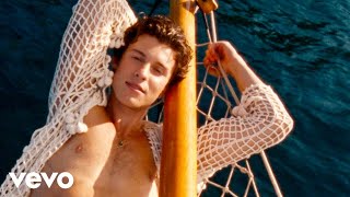 Shawn Mendes Tainy  Summer Of Love Official Music Video [upl. by Enicul667]