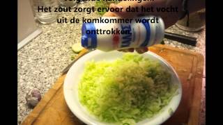 Hoe wij Tzatziki maken [upl. by Cornish751]