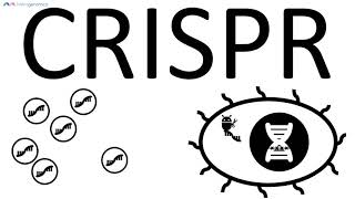 CRISPRCas9 basic explanation  Merogenomics [upl. by Domenico]