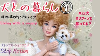 犬との暮らし① Living with puppy Stop motion Barbie [upl. by Nola]