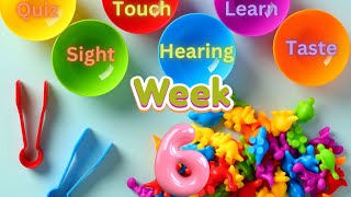 Weekly Fun amp Learning sensory quiz 2024 Week 6 [upl. by Pulling]