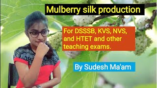 Mulberry Silkworm  Production of silk  By Sudesh Maam [upl. by Skipper]