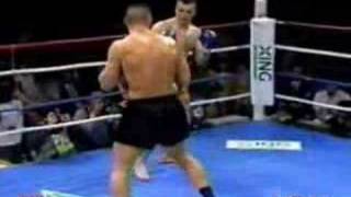 Mirko Cro Cop Filipovic vs Jerome LeBanner [upl. by Aihsemaj527]