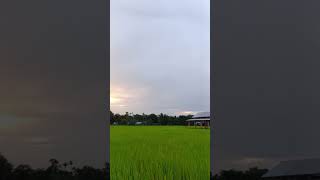 ProtidineZubeen Garg songshort video Assamese [upl. by Airekahs]