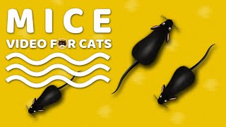 CAT GAMES  Mice Mouse Sounds Video for Cats  CAT amp DOG TV [upl. by Aicemed]