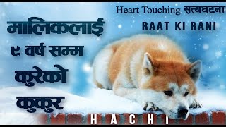 Hachi A Dogs Tale Explained 2009 Imdb  89 [upl. by Anhavas]