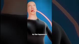 How Tapeworms Grows Inside Human Body [upl. by Ezri61]