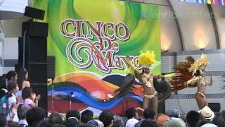 Cinco De Mayo 2014 Japan シンコ・デ・マヨ・フェスティバル 2014 東京会場 代々木公園 [upl. by Limak]