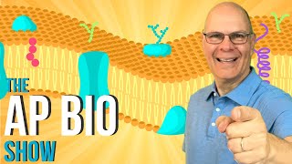 Crush it in AP Bio with the AP Bio Show Ep 6 Cell Membranes [upl. by Aicelet]