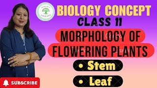 Morphology of flowering plants। Class 11 Ch5 Biology । The stem। The leaf । [upl. by Silvers]