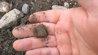 This is why you always dig zinc penny signals Ep 193 metaldetecting metaldetectingtips gold [upl. by Plume566]