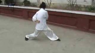 a kung fu masters amazing exercise [upl. by Sascha965]