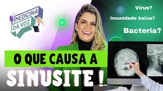 O que causa a Sinusite [upl. by Mure]