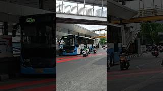 Busway 5B meluncur shorts buswaytransjakarta transjakarta busway jakarta bis haltebusway [upl. by Kenlay]