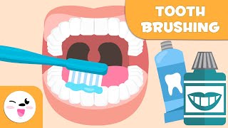 How to Brush Your Teeth  Tooth Brushing for Kids [upl. by Nyladnar]