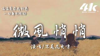 不是花火呀  微風悄悄『為何偏偏是我們遇到，連風的溫度都剛好。』【高音質動態歌詞Lyrics】♫ [upl. by Janeva]