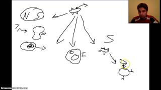 Specific Immune response revision [upl. by Norraa]