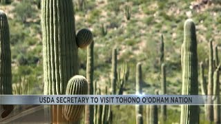 Tohono Oodham Nation will celebrate groundbreaking broadband internet program [upl. by Karlin]