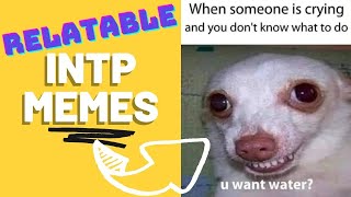 INTP MEMES Weirdly Accurate [upl. by Guyon]