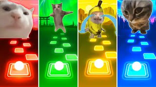 Vibing Cat vs Happy Cat vs Banana Cat vs Chipi Chipi Chapa Chapa Cat  Tiles Hop EDM Rush [upl. by Coppinger]