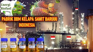 TAMBAH TERUS PABRIK BIOFUEL  TAHUN 2020 DAERAH ini AKAN BANGUN PABRIK BBM DARI MINYAK KELAPA SAWIT [upl. by Tito]