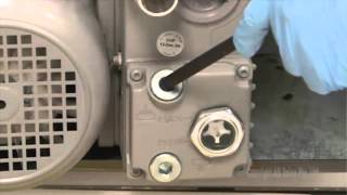 SCIEX 5500amp6500 Systems Pump Oil Change [upl. by Tosch]