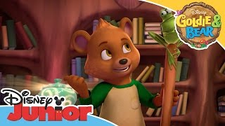 Goldie amp Bear  Whats Inside  Official Disney Junior Africa [upl. by Nnayllas]