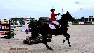 Horse show jumping falls compilation [upl. by Buseck]