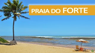 Proyecto Tamar  Praia do Forte  Salvador de Bahía  Brasil 9 [upl. by Elfont]