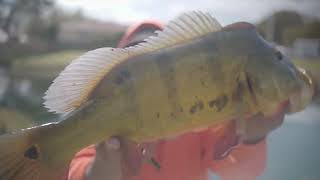 Montrezl Harrell Catches Fish with Monster Mike [upl. by Yelrebma]