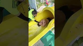 Fun at the 🥱😲💦water park running trampoline Assument waterpark viralvideo youtubeshorts shorts [upl. by Ronald505]