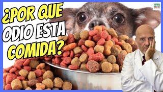 🔴 MI OPINIÓN SOBRE EL PIENSO O COMIDA CASERA PARA PERROS 🔴 [upl. by Enidlareg]