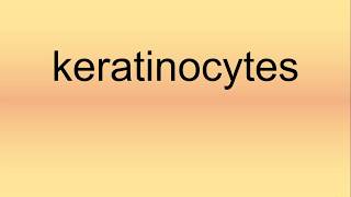 Keratinocytes Pronunciation  How to Say  How to Pronounce [upl. by Polk]