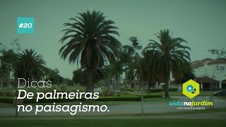 Dicas de Palmeiras no paisagismo 20 [upl. by Durst130]