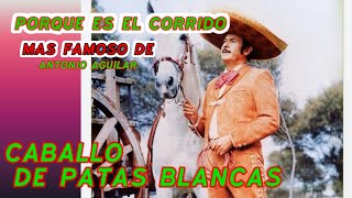 Cómo nació el corrido de caballo de patas blancas Antonio Aguilar [upl. by Fotzsyzrk]