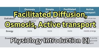 شرح فسيولوجي Facilitated diffusion Osmosis Active transport Pinocytosis [upl. by Aicerg]