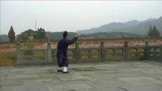 Wudang Taiji Sword 武当太极剑  Master Yuan Xiu Gang 袁修刚 [upl. by Llydnek]