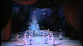 1989 Bolshoi Ballet Nutcracker excerpts 1012 by GrigorovichTchaikovsky  Waltz of the Flowers [upl. by Enitsirk381]