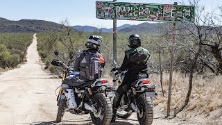 Triumph Scrambler 1200s Do The Baja 500 For 500  On Two Wheels [upl. by Stovall]