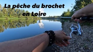 Je pêche le brochet en Loire Partie 1 [upl. by Cirda]